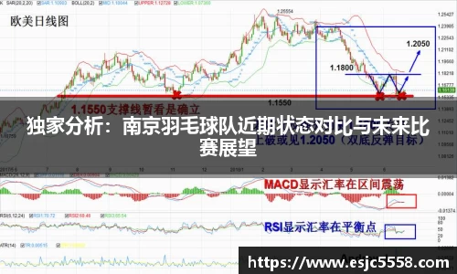 独家分析：南京羽毛球队近期状态对比与未来比赛展望
